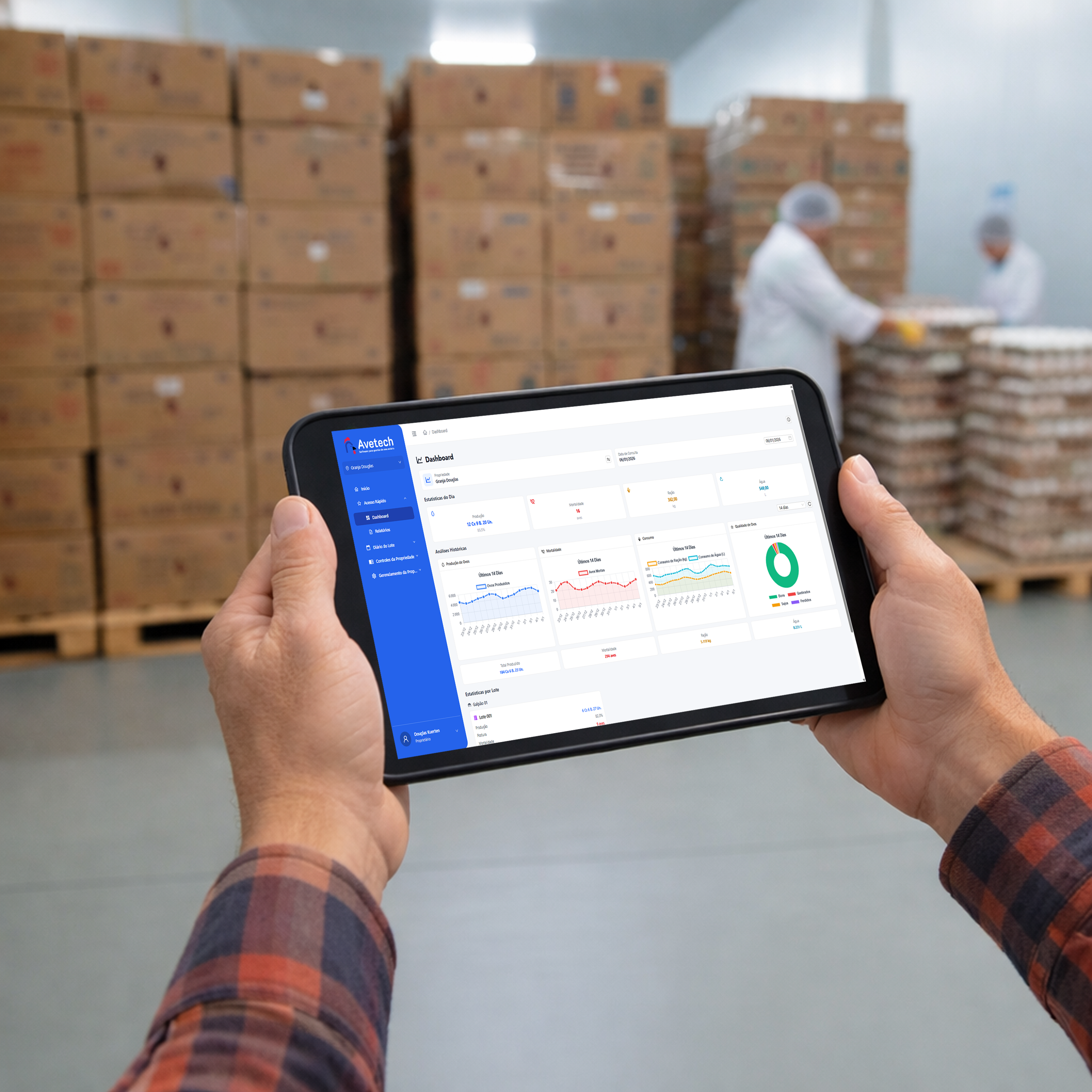 Dashboard e Relatórios